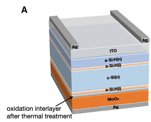 image-20240612162828340
